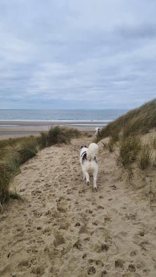 Y Branwen Restaurant & Rooms - Adult Only And Dog Friendly Harlech Exterior photo