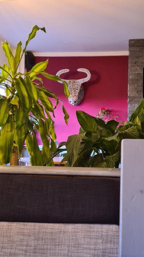 Y Branwen Restaurant & Rooms - Adult Only And Dog Friendly Harlech Exterior photo