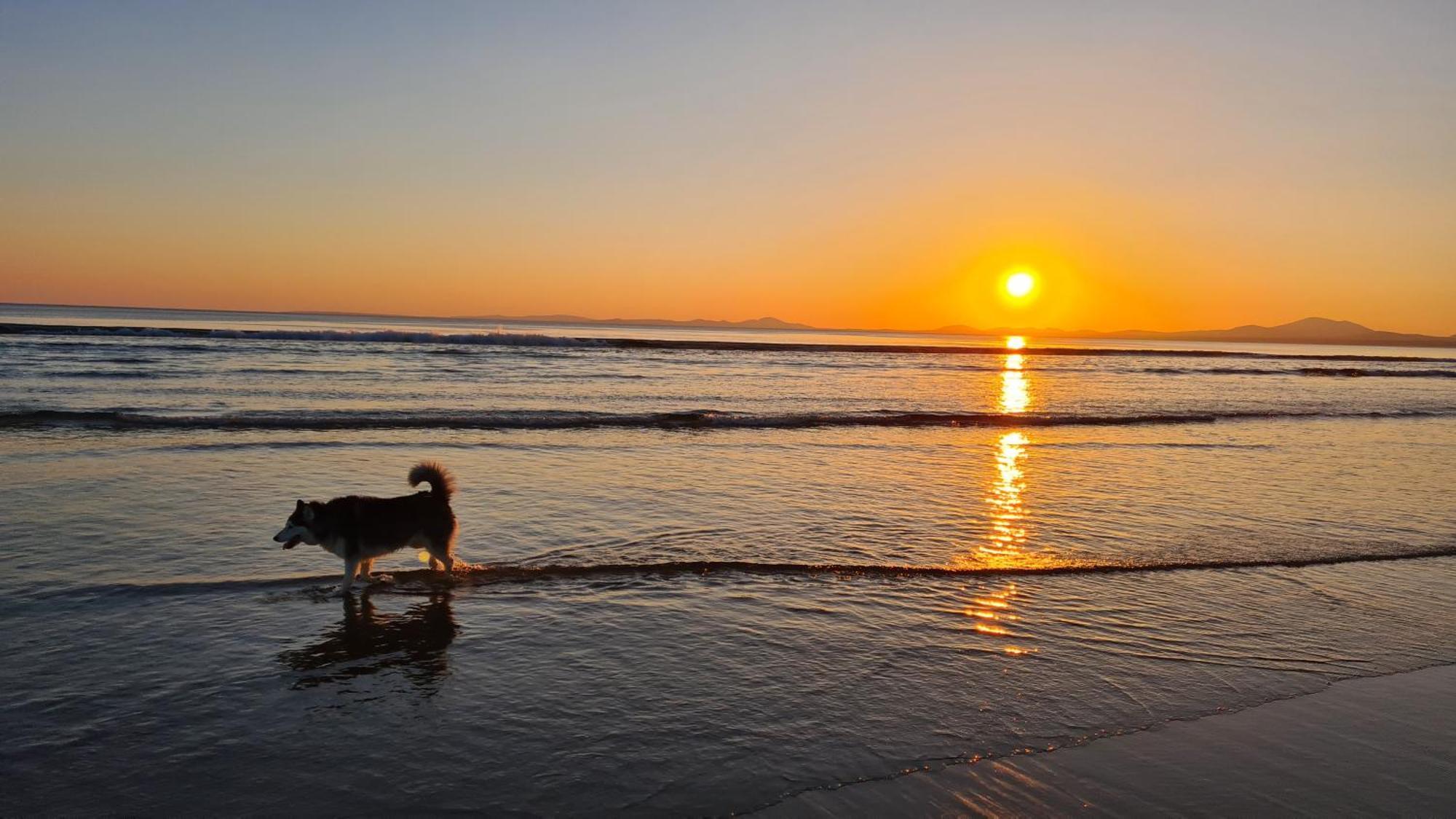 Y Branwen Restaurant & Rooms - Adult Only And Dog Friendly Harlech Exterior photo