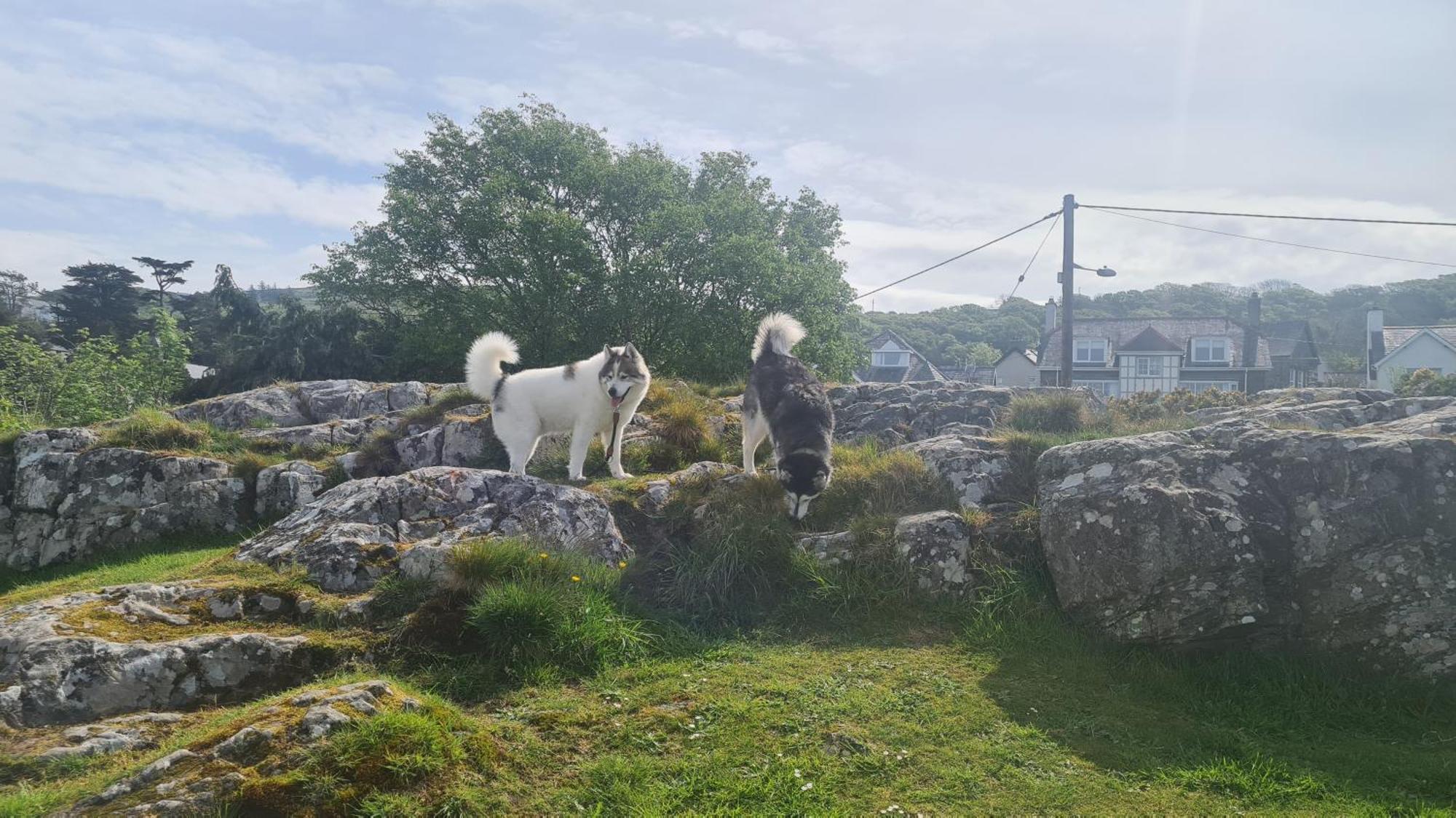 Y Branwen Restaurant & Rooms - Adult Only And Dog Friendly Harlech Exterior photo