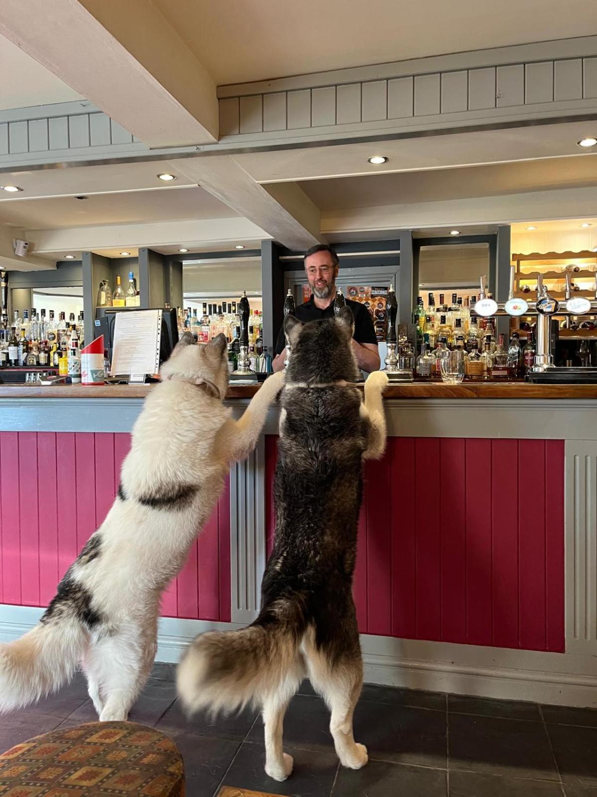 Y Branwen Restaurant & Rooms - Adult Only And Dog Friendly Harlech Exterior photo